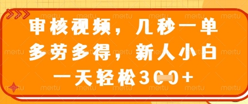 最新审核视频，几秒一单，多劳多得，新人小白一天轻松3张【揭秘】_04091432|策驰网创
