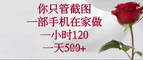 你只管截图，一部手机在家操作，一小时120.一天5张【揭秘】|策驰网创