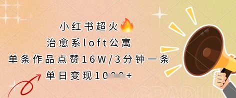 小红书超火的治愈系loft公寓，单条作品点赞16W，3分钟一条，单日变现数张_04091435|策驰网创