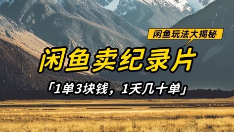 闲鱼卖纪录片1单3块钱，1天几十单，项目稳定有潜力_04091436|策驰网创