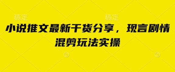 小说推文最新干货分享，现言剧情混剪玩法实操_04091437|策驰网创