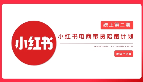 2025小红书虚拟电商实战课|策驰网创