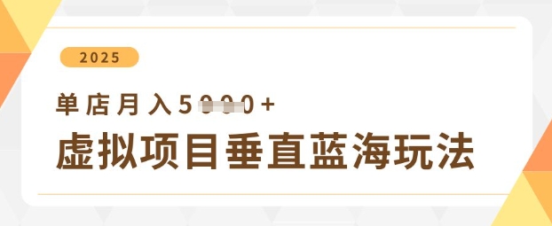 虚拟项目垂直玩法，实现单店月入5k+_04091436|策驰网创