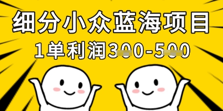 细分小众蓝海项目，一单利润3张，每月收入稳定过1w+_04091438|策驰网创
