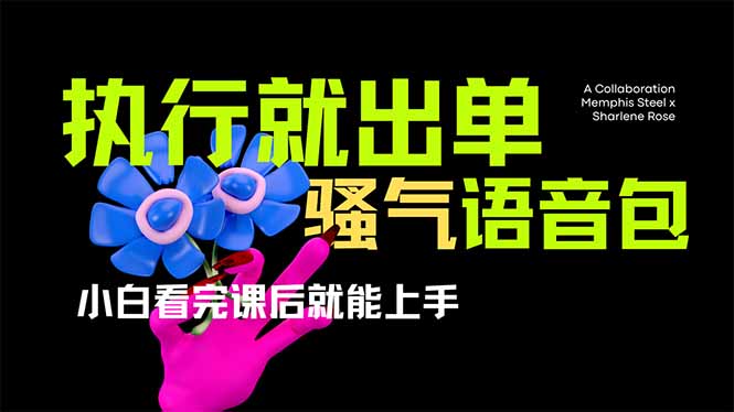 爆火全网的开车导航骚气语音包,只要执行就出单，小白看完课程就能实操…|策驰网创