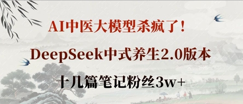 AI中医大模型杀疯了！DeepSeek中式养生2.0版本，十几篇笔记粉丝3w+_04091439|策驰网创